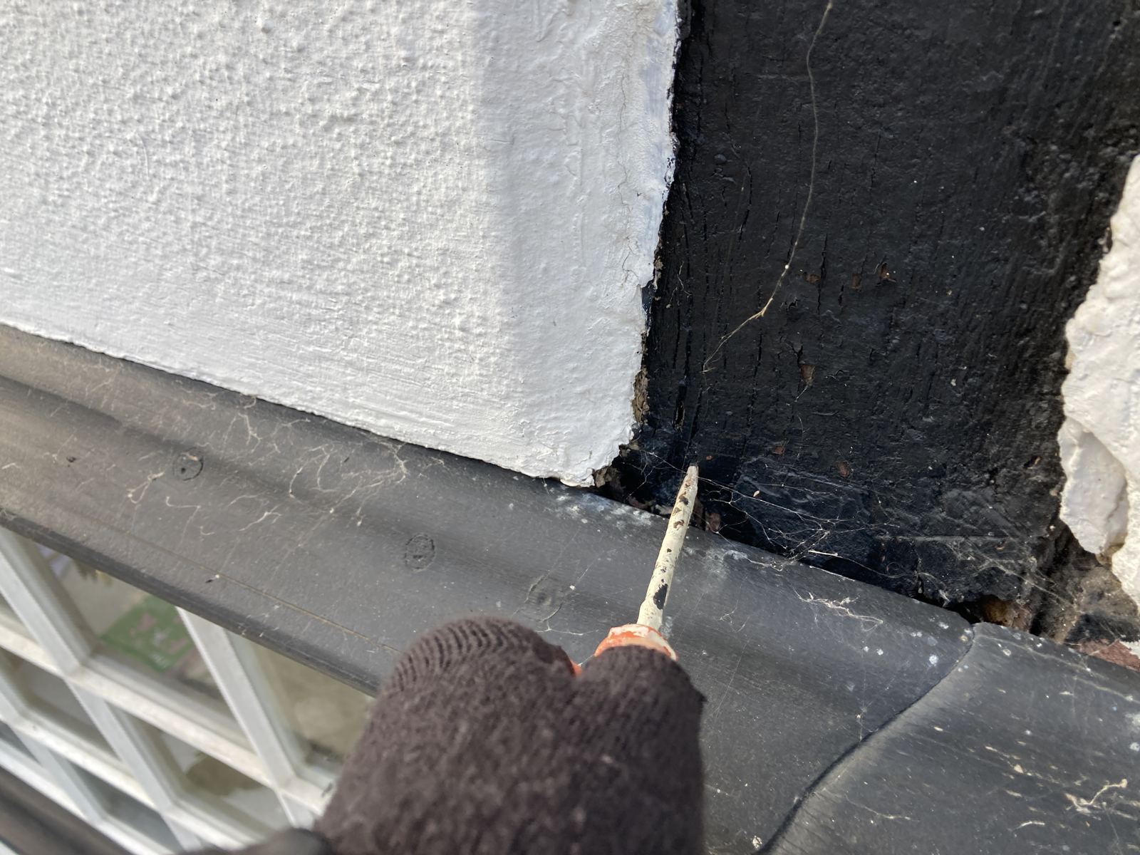 Surveyor probing soft timber where a post meets the window head